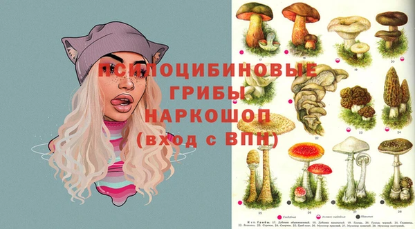 прущие крисы Вязники