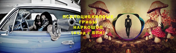 прущие крисы Вязники